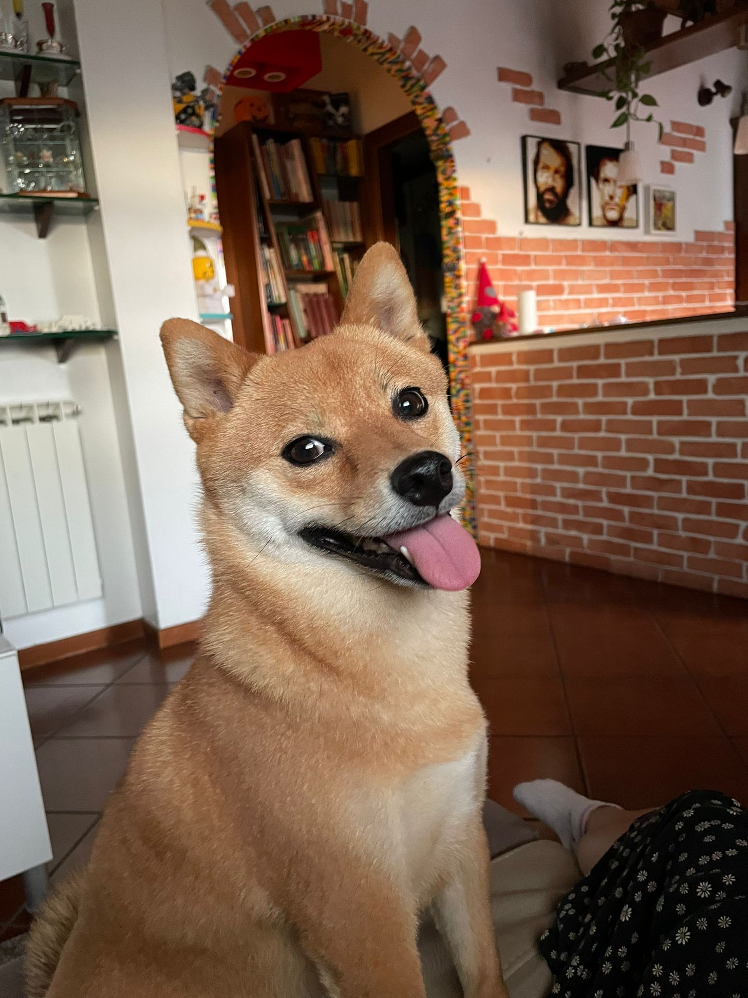 Kyra IMG